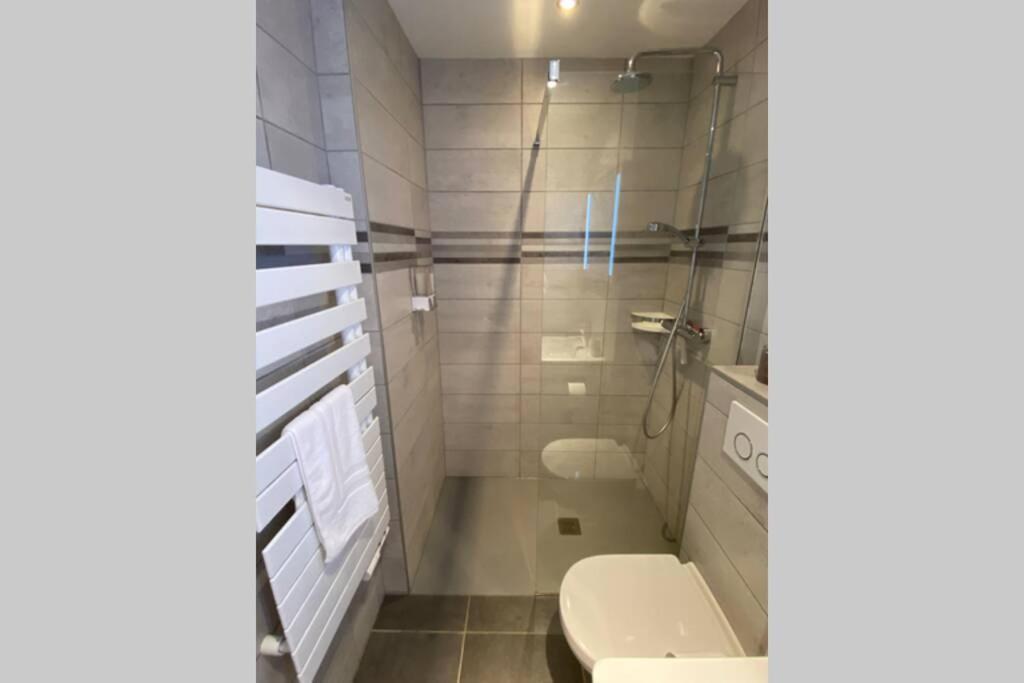 Le Continental Beau T2 Plein Centre + Parking Apartment Анси Екстериор снимка