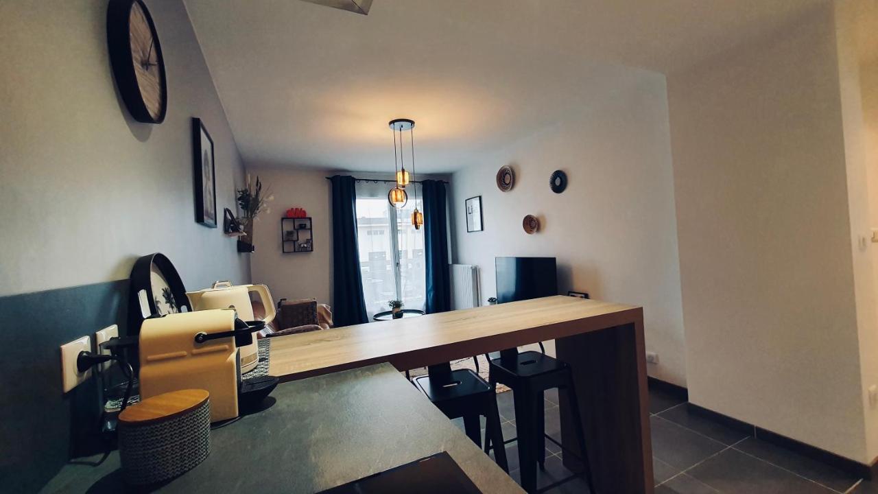 Le Continental Beau T2 Plein Centre + Parking Apartment Анси Екстериор снимка